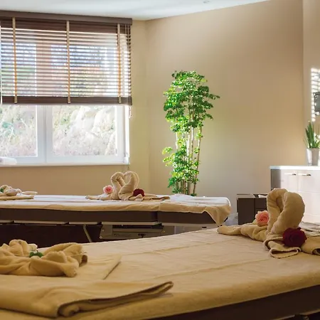 ラリヴェ ＆ スパ ホテル 4*