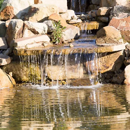 L'arrivee & دورتموند